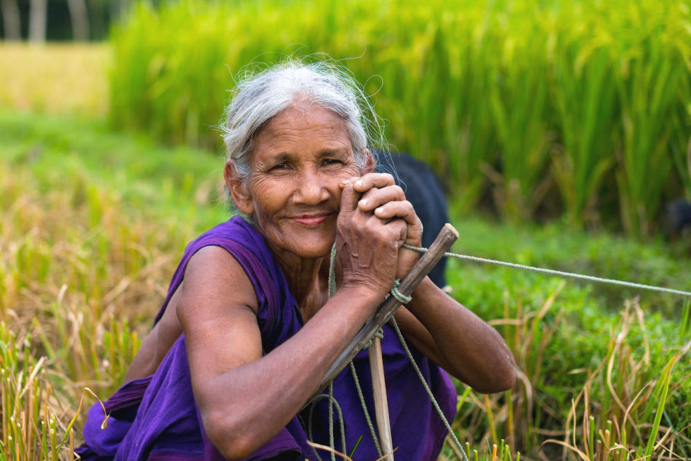 Honor Your Ancestors: How They Guided Samhain & Seasonal Rituals